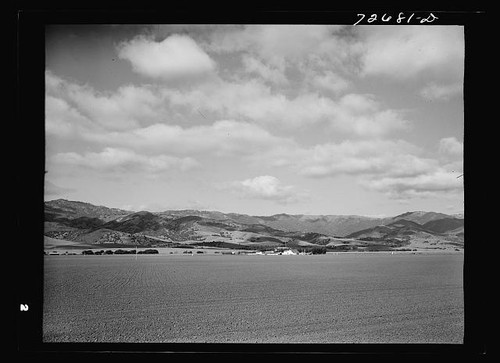 Contea monterey - contea,