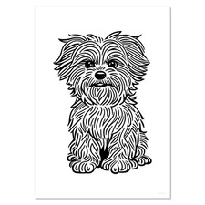 Poster / stampe da parete 'Maltipoo Dog' (PP044150)