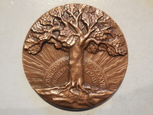 Medaglia onore angelo - in,