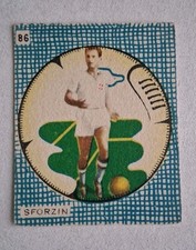 Cicogna tuttocalcio 1950 - tuttocalcio, 1950/51