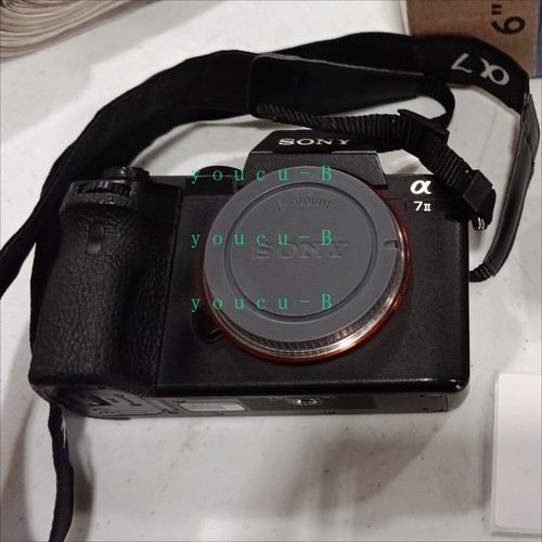 Fotocamera digitale mirrorless