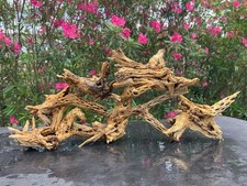 CHOLLA DRIFTWOOD ACQUARI PESCI