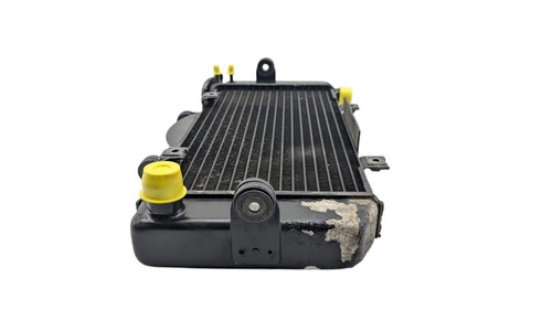 Radiatore acqua yamaha tdm - radiatore, d