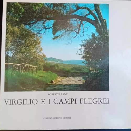 Roberto pane virgilio - pane, i