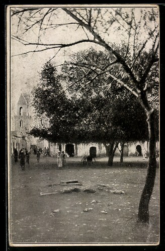 Cpa bengasi piazza degli - bengasi,, la