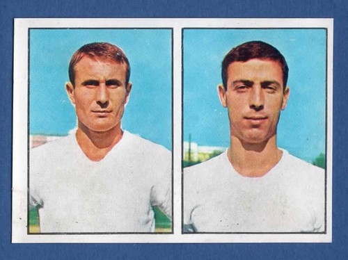 Figurina calciatori panini - figurina,