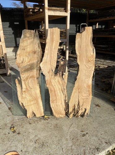 Tavole legno di - in,