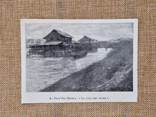 Vita del fiume quadro - la,