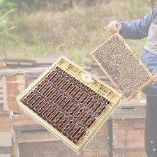 Scatola per allevamento - , di