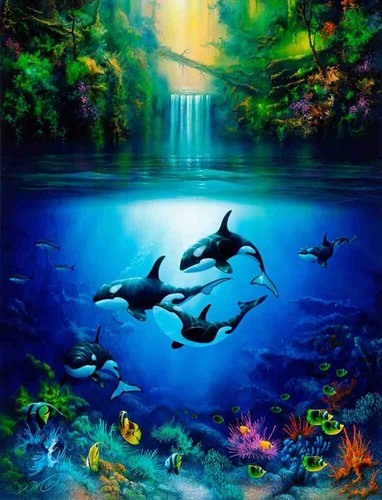 Piastrella orca balena - piastrella,