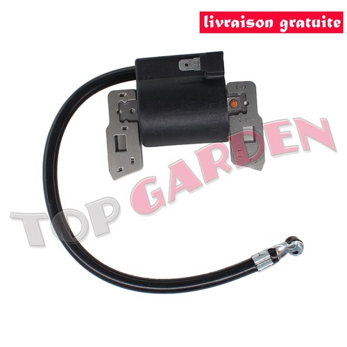 Bobine allumage pour - bobine, briggs