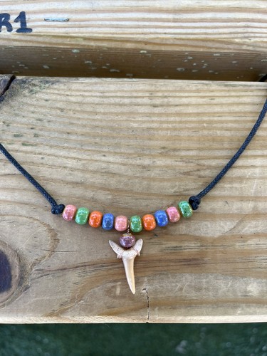 Collana con dente - , di