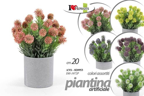 Pianta piantina finta - pianta,