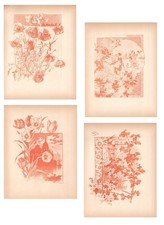 Stampe antiche LOTTO 4 FIORI
