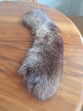 Collo Di Pelliccia Di Castoro Non Rasato