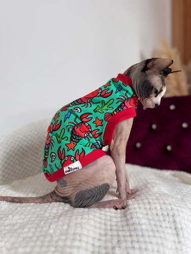 Shirt gatto cotone sphynx - t-shirt,