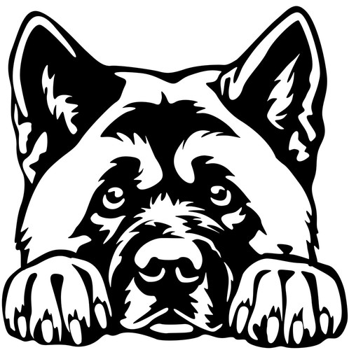 Adesivo american akita - american,