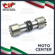 ASSE PERNO Ø 12 mm. SNODO