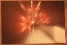 FOTO FOTOGRAFIA KODAK FIORE