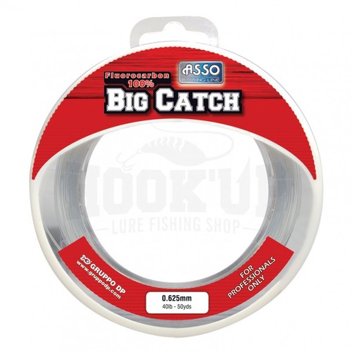 Asso fluorocarbone big catch - fluorocarbone,