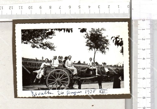 Pab 283 foto - pab, 283)