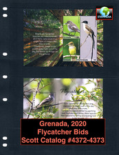 $24,00 Scott Value - 2020