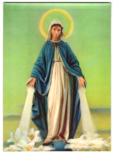 Cartolina vergine maria - cartolina,