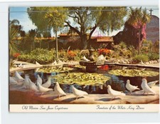 Cartolina Fontana del Re