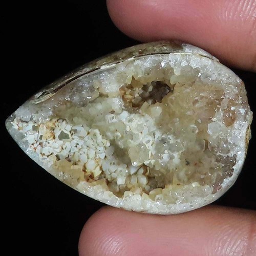 105 cts fossil lumaca - cts,