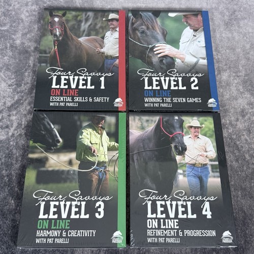 The four savvys levels 3 - savvys, 1