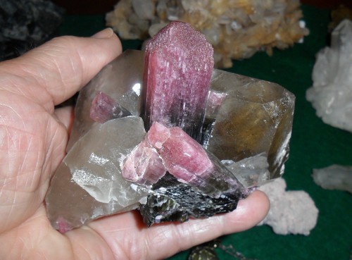 Tormalina liddicoatite - tormalina,