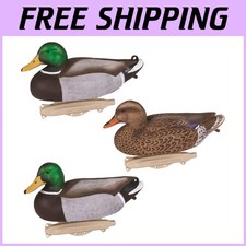 Outdoors Storm Front 2 - Full