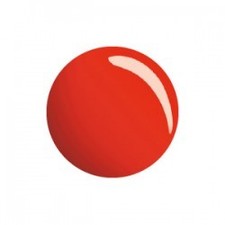 Smalto Semipermanente Gel 14