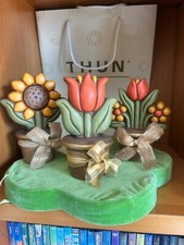 Thun collezione 3 piante medie