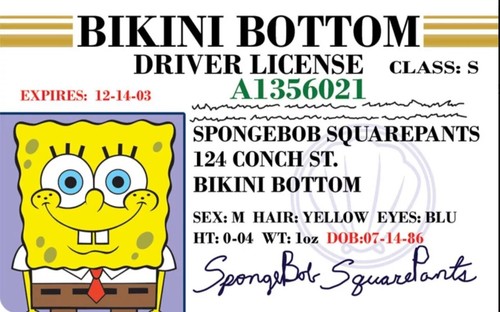 Funny spongebob squarepants - funny,