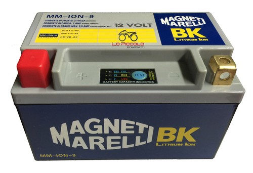 Ion batteria litio - batteria,
