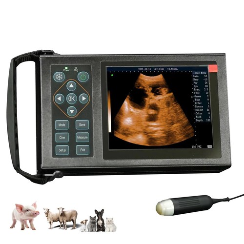 Scanner ultrasuoni veterinario
