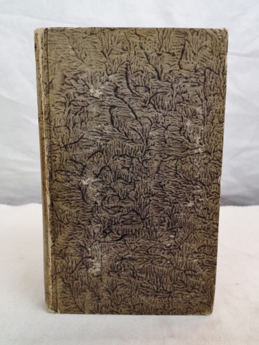 Panegyricus traiano dictus - traiano,