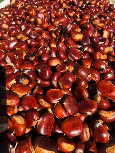 Castagne bracalla piemontese - castagne,