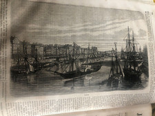 splendida stampa illustrazione