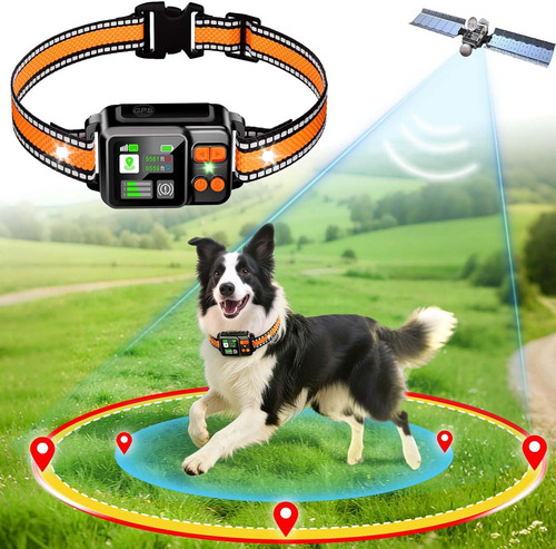 Sistema recinzione cani gps - recinzione,