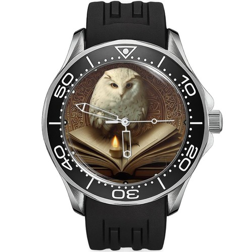 Owl bianco seduto - un, libro