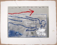 James COIGNARD - Nu Bleu