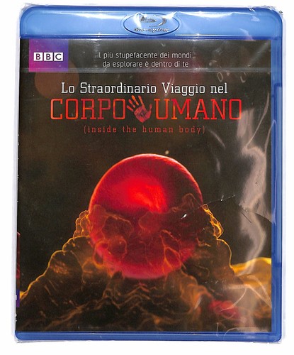 Ebond straordinario viaggio - ebond,