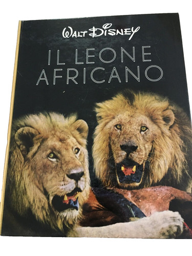Libro disney leone africano - leone,