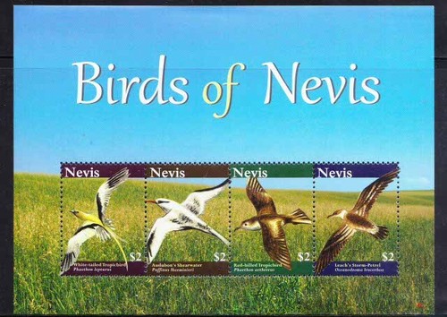 Nevis 2010 mnh sea birds - 2010, ss,