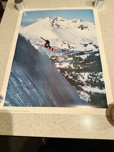 Poster vintage sims snowboard