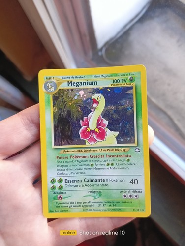 Meganium 111 holo - 11/111,