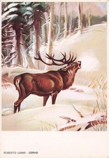25-4B) CARTOLINA ROBERTO LEMMI CERVO EDITORIALE OLIMPIA FIRENZE N 11