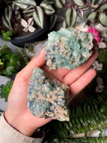 Aragonite blu con esemplari - 2x,